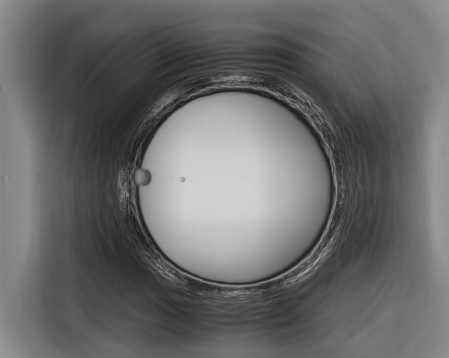 X0000116561017200912100939