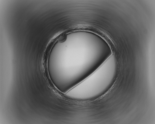 X0000116561018200912100939