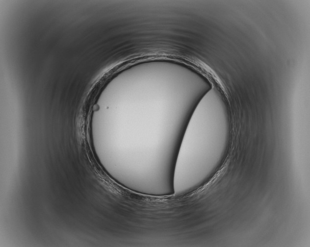 X0000116561019200912100939
