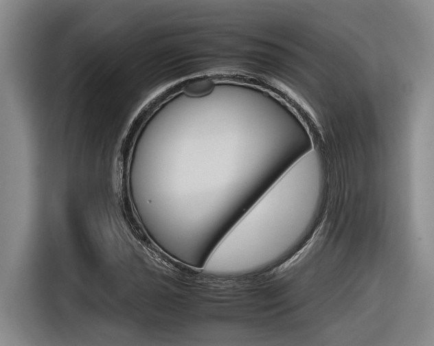 X0000116561021200912100939