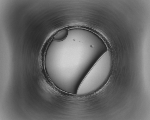 X0000116561022200912100939