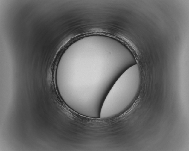X0000116561023200912100939