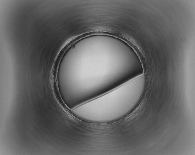 X0000116561024200912100939