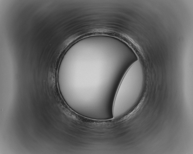 X0000116561025200912100939