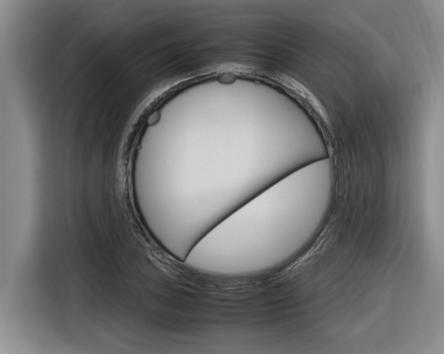 X0000116561027200912100939