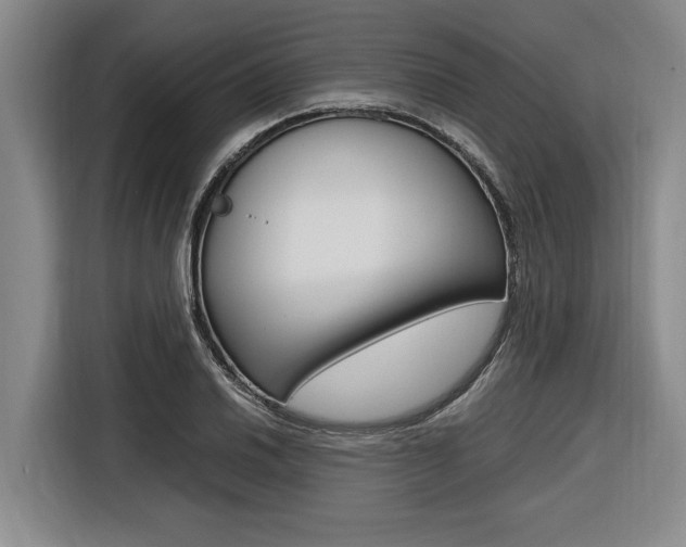 X0000116561030200912100939