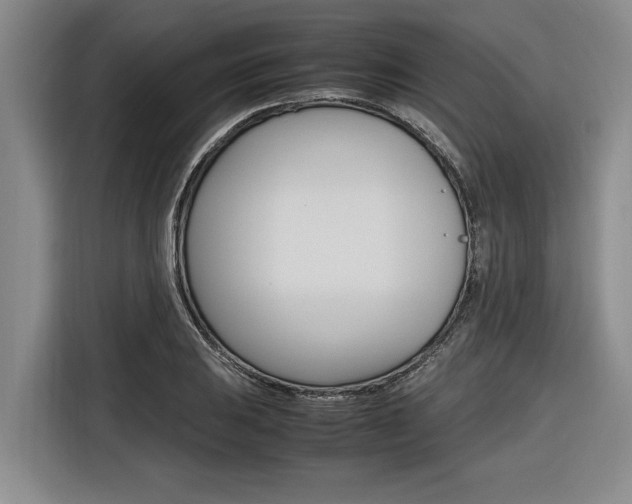 X0000116561031200912100939
