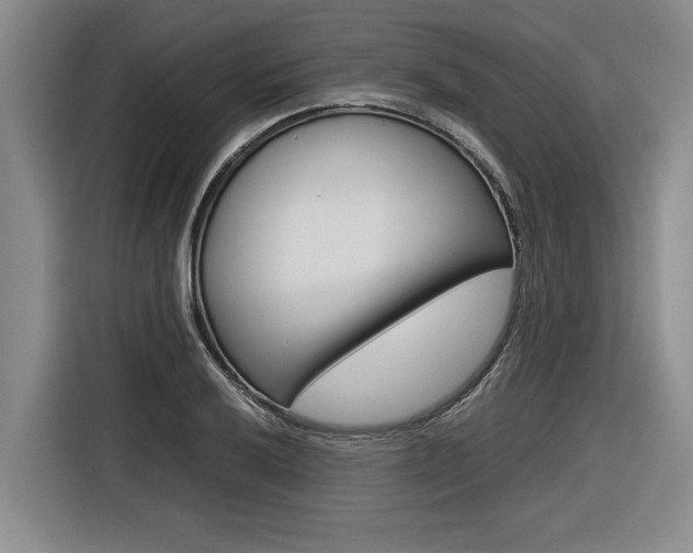 X0000116561032200912100939