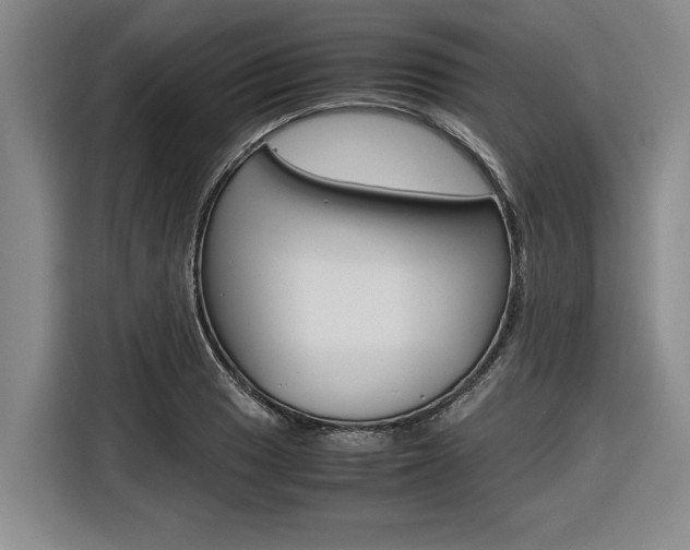 X0000116561033200912100939