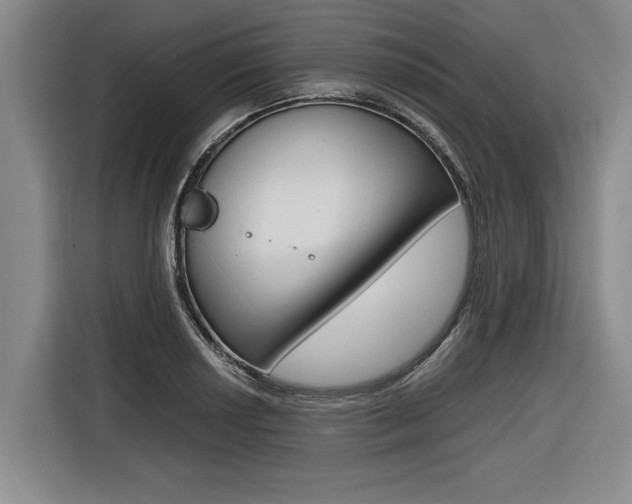 X0000116561034200912100939