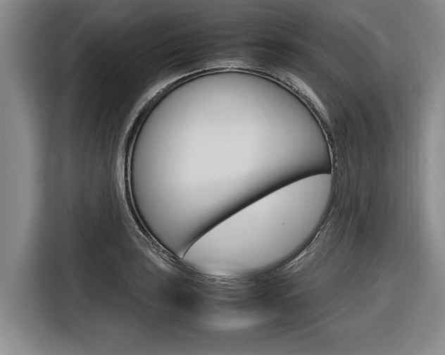 X0000116561035200912100939