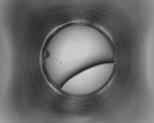 X0000116561037200912100939