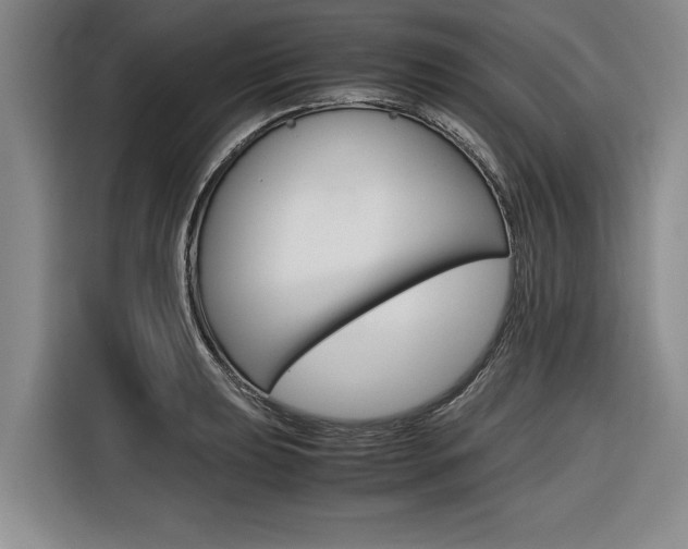 X0000116561039200912100939