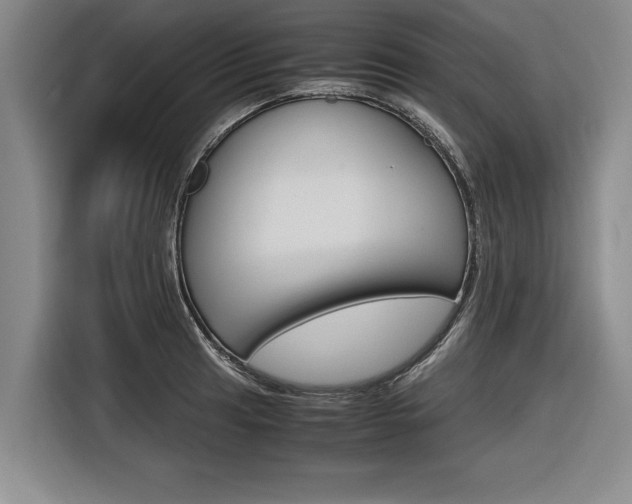 X0000116561041200912100939