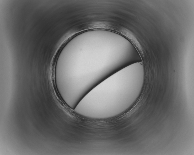 X0000116561043200912100939