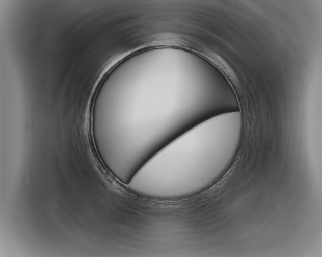 X0000116561044200912100939