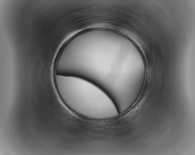 X0000116561045200912100939