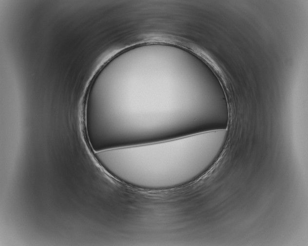 X0000116561048200912100939