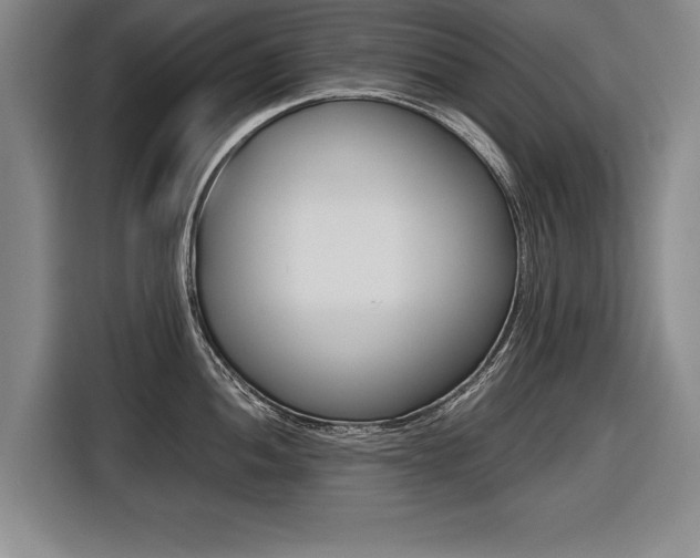 X0000116561052200912100939