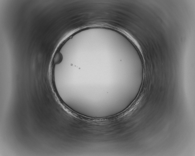 X0000116561053200912100939