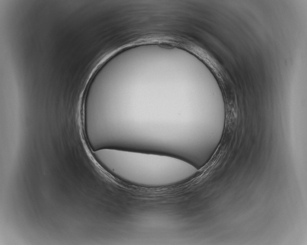 X0000116561055200912100939