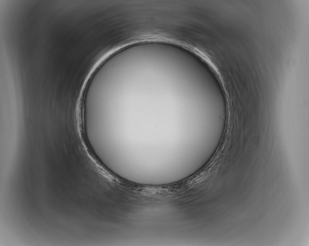 X0000116561056200912100939