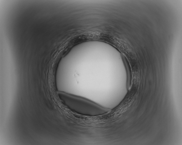X0000116561057200912100939
