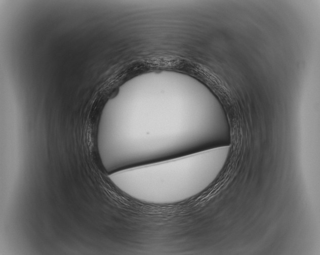 X0000116561058200912100939