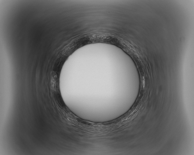 X0000116561059200912100939
