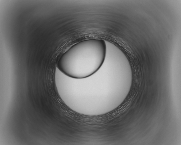 X0000116561060200912100939