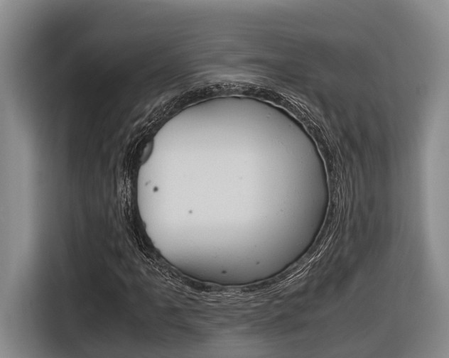 X0000116561061200912100939