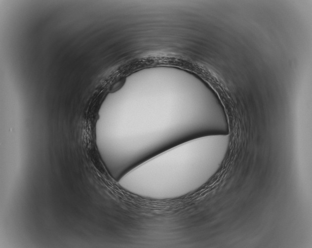 X0000116561062200912100939