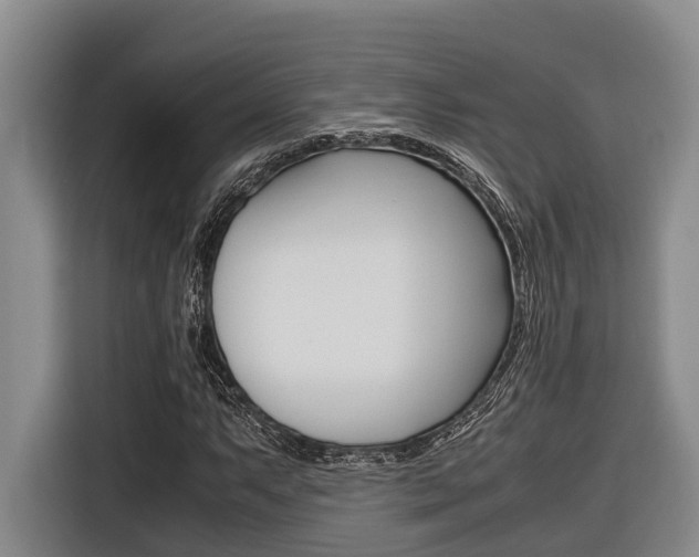 X0000116561063200912100939