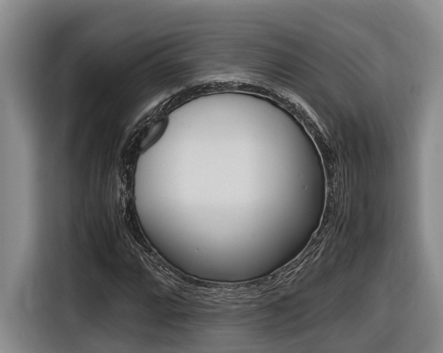 X0000116561064200912100939