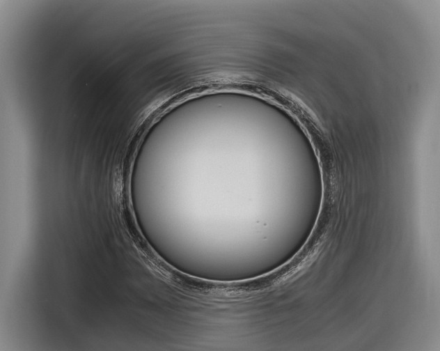X0000116561065200912100939