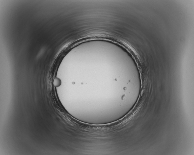 X0000116561067200912100939