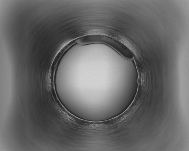 X0000116561068200912100939