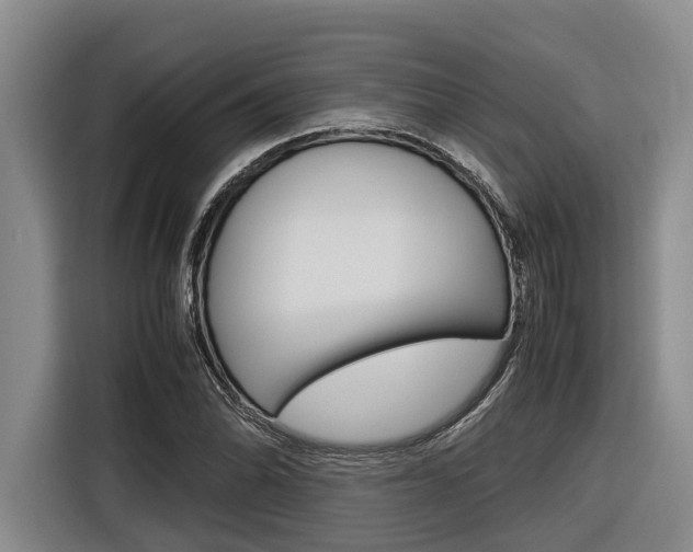 X0000116561070200912100939