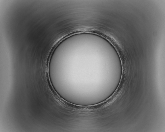 X0000116561073200912100939