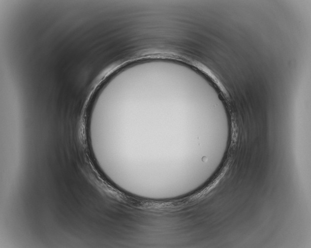 X0000116561074200912100939