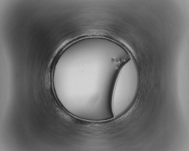 X0000116561075200912100939