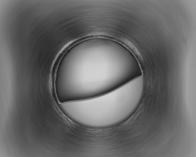 X0000116561076200912100939