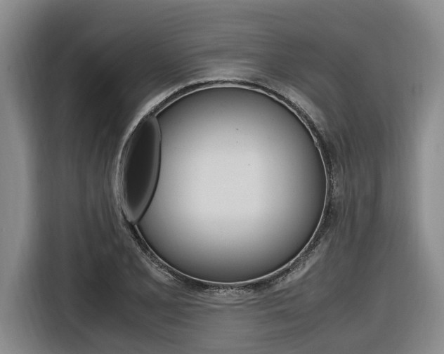 X0000116561077200912100939