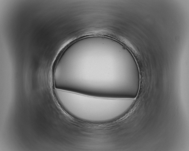 X0000116561079200912100939
