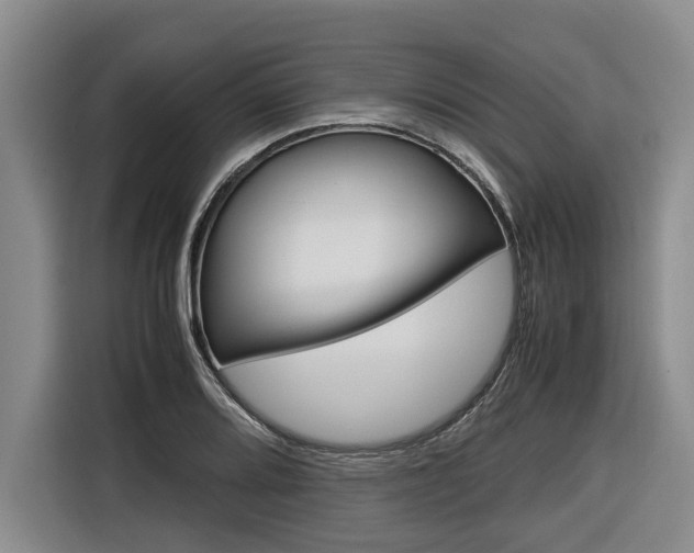 X0000116561080200912100939