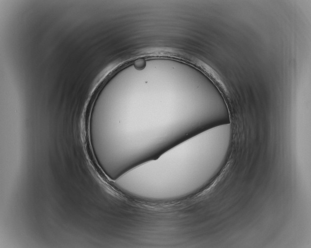 X0000116561082200912100939