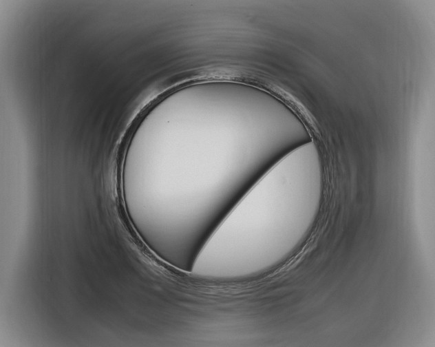 X0000116561083200912100938