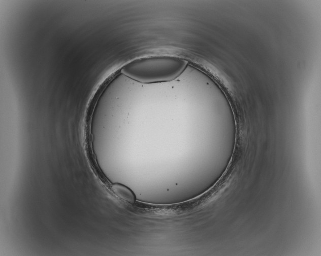 X0000116561085200912100938