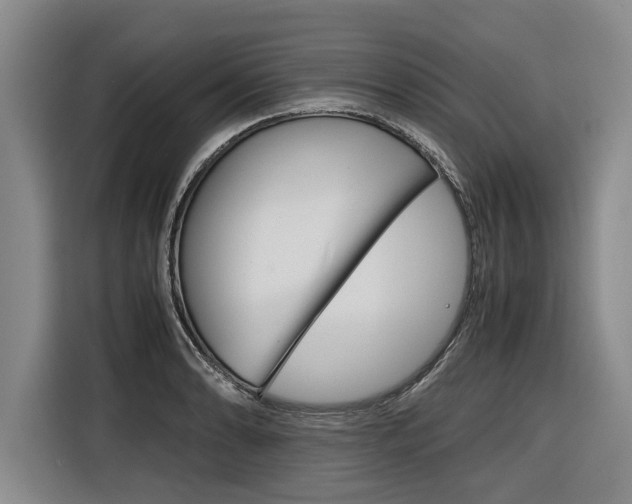 X0000116561086200912100938
