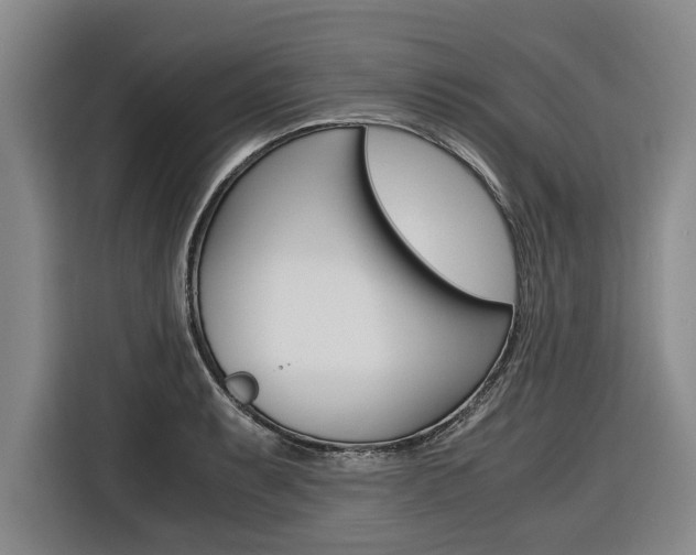X0000116561087200912100938